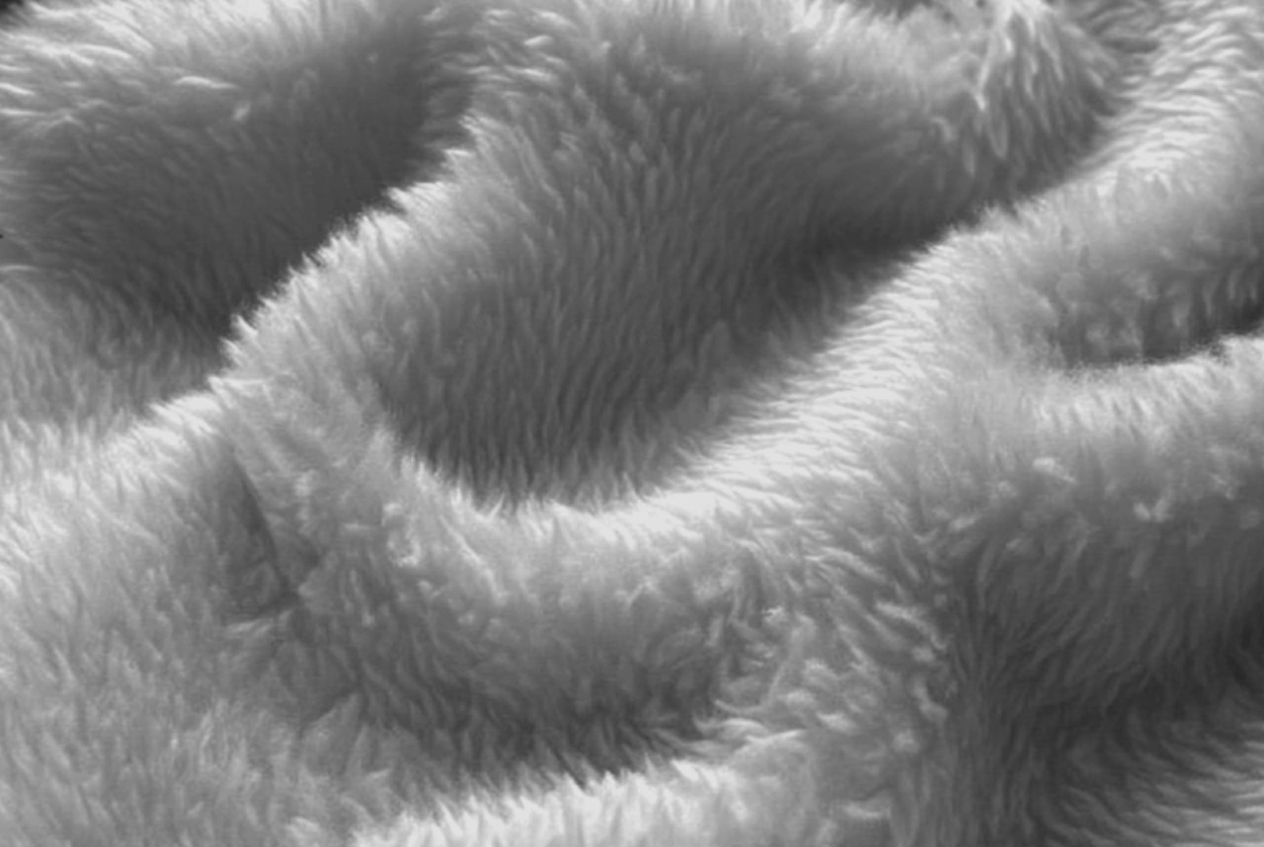 Macro detail of North Polar plush fleece